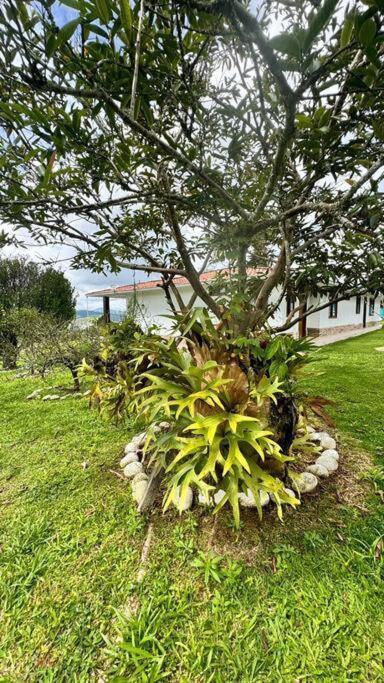 Finca Con Vistas Al Lago Calima Villa Exterior foto